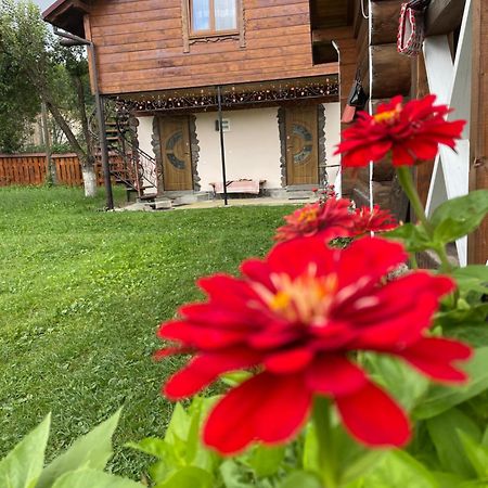 Pidkova Villa Verkhovyna Buitenkant foto