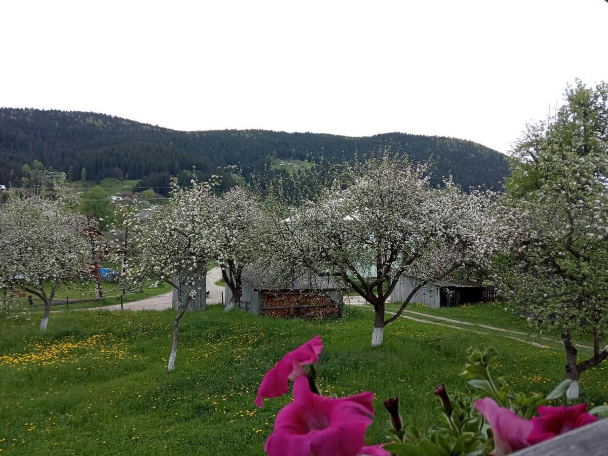 Pidkova Villa Verkhovyna Buitenkant foto