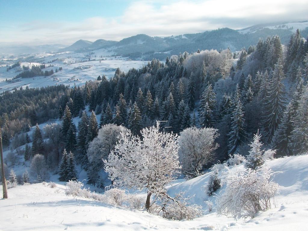 Pidkova Villa Verkhovyna Buitenkant foto