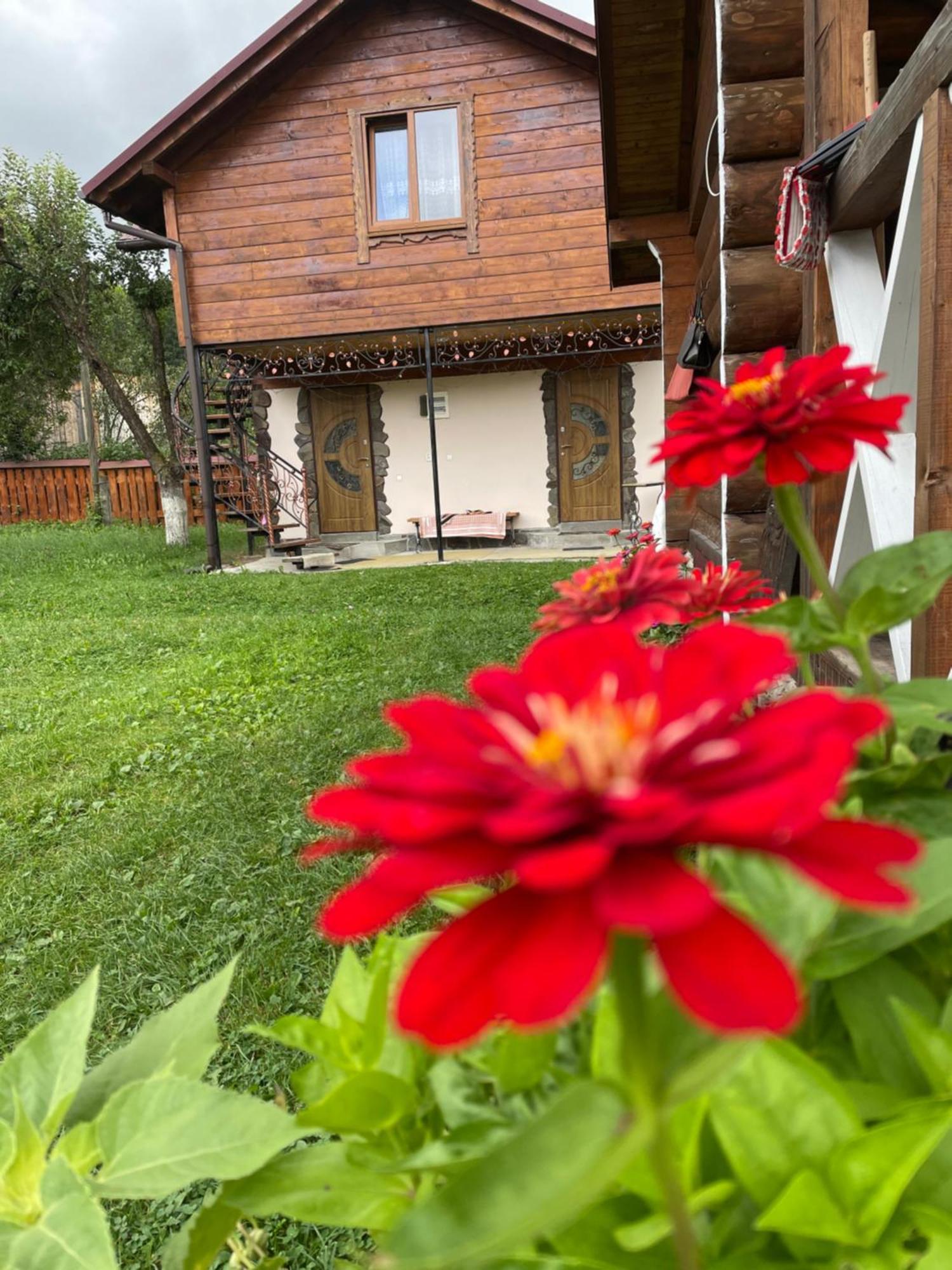 Pidkova Villa Verkhovyna Buitenkant foto